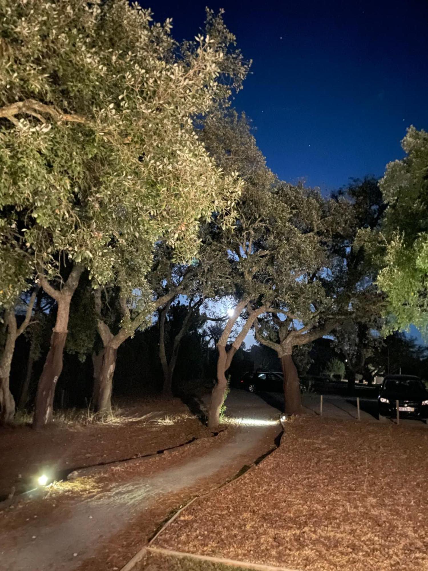 A Espera - Turismo Rural,Melides Exteriér fotografie